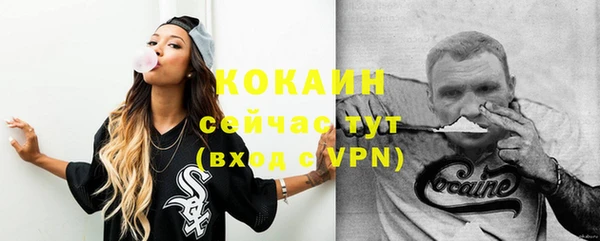 mdpv Снежинск
