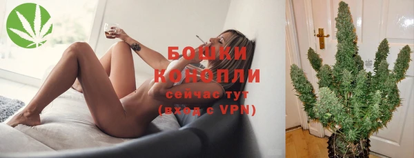 бошки Бронницы