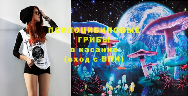 бошки Бронницы